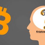 bitcoin-felmérés