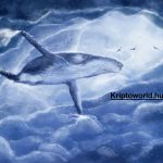 the-whale-2630647_1920