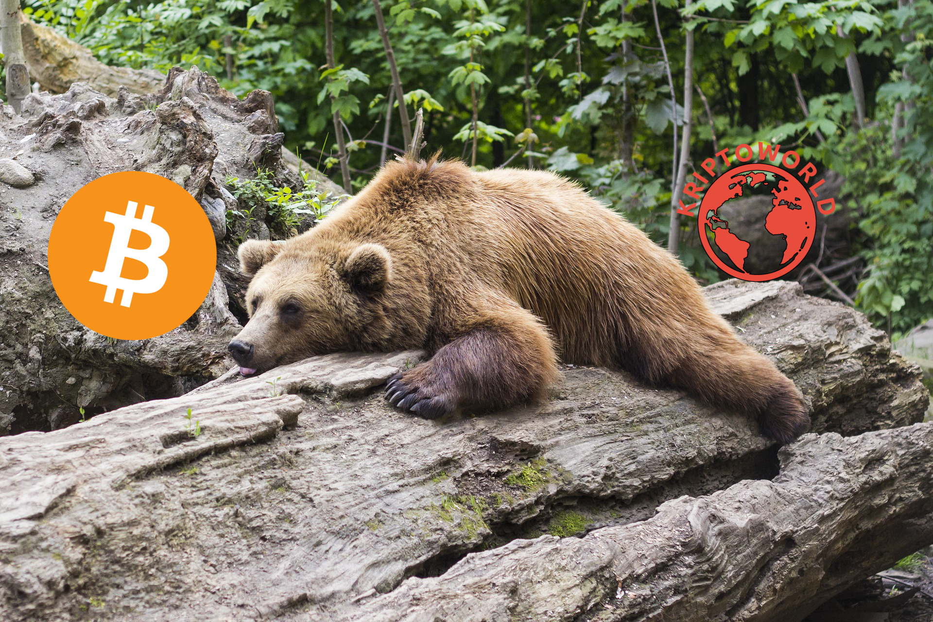 A medve piacnak technikailag vége, miután egyetlen nap alatt 2500 dollárt ugrott a bitcoin