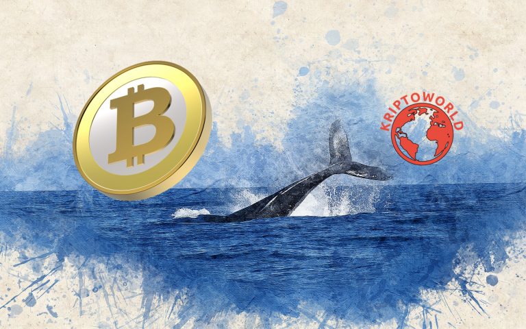 47 000 bitcoint utalt egy bálna Kína szigorítása után