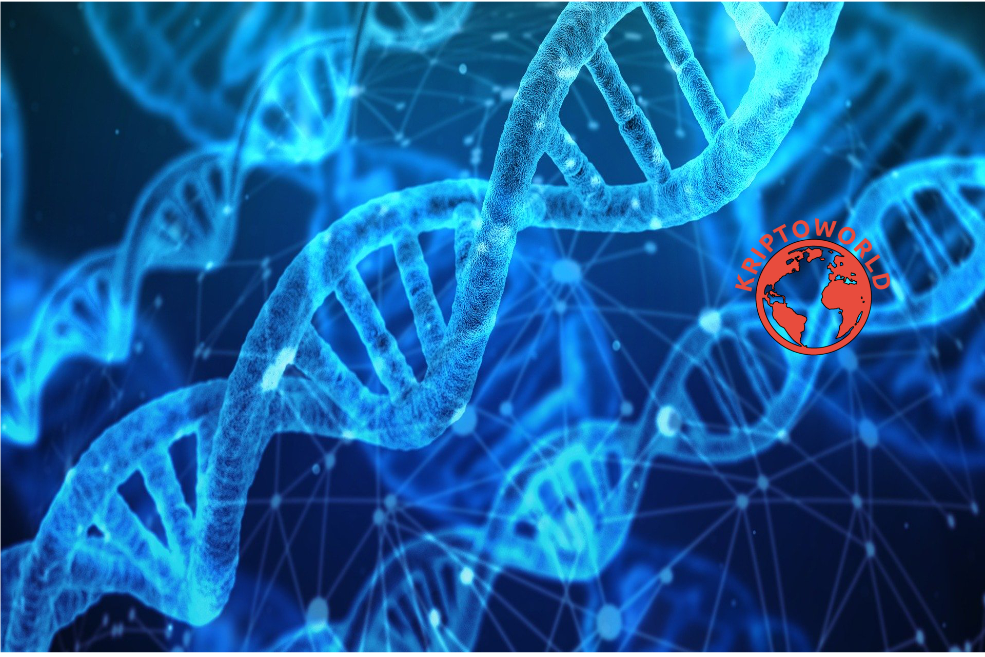 Egészségügyi blokklánc a HashCash jóvoltából, a dns-kutatásokhoz Egészségügyi blokklánc a HashCash jóvoltából, a dns-kutatásokhoz