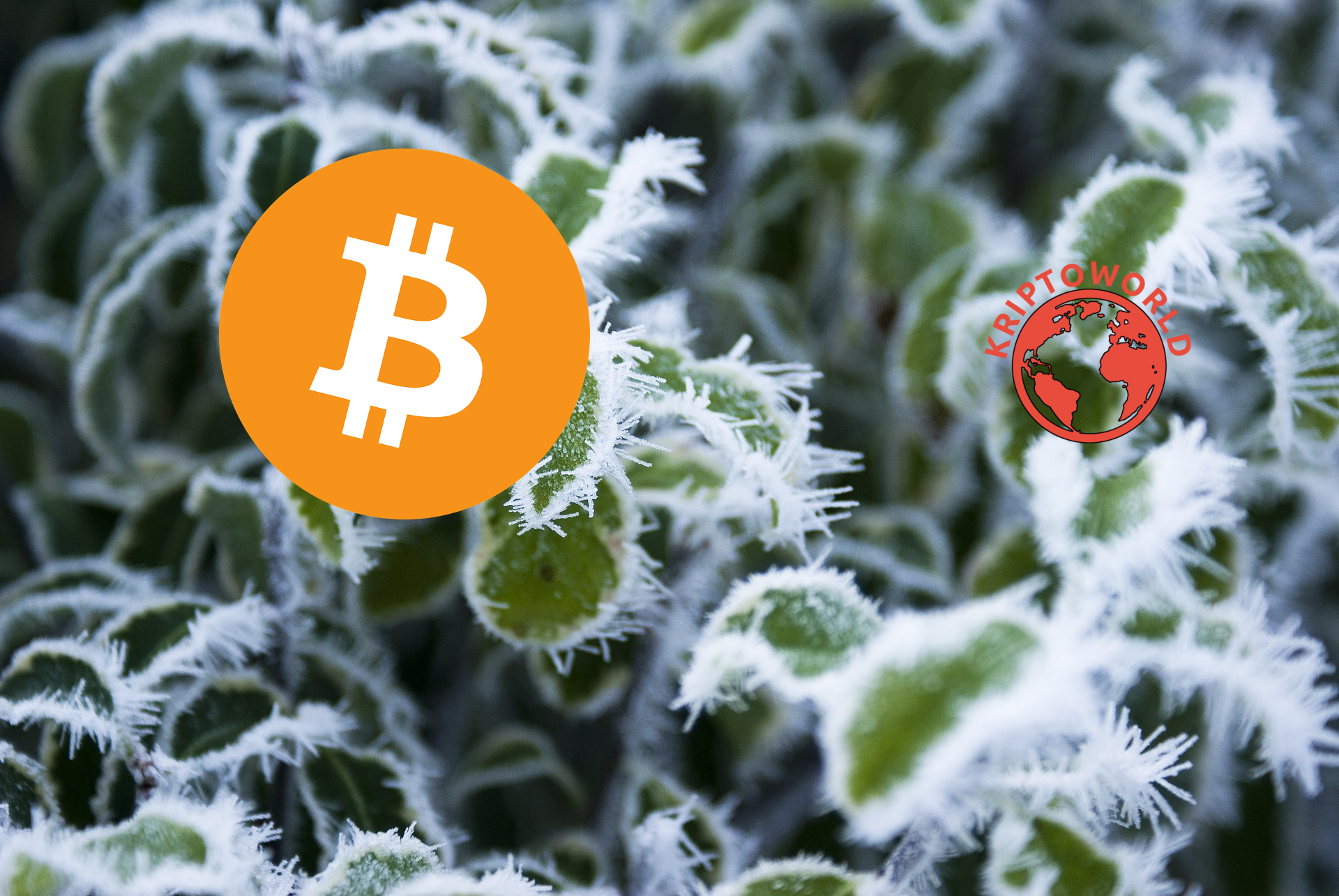 Történelmileg november a bitcoin legjobb hónapja, változhat ez idén? Történelmileg november a bitcoin legjobb hónapja, változhat ez idén?