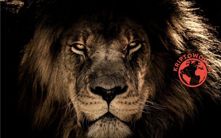 A Bitfinex LEO tokenje bejutott a top10 kriptó közé