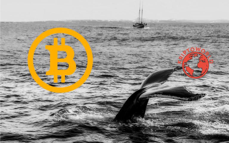 Egy bitcoinbálna szerint egyetlen tényezőn múlhat egy elhúzódó áremelkedés