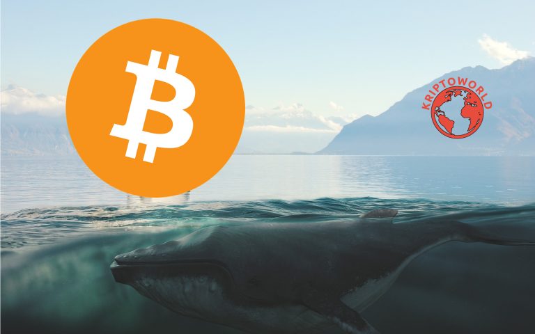 Egyre több a BTC-bálna – tudnak valamit, amit mi nem?