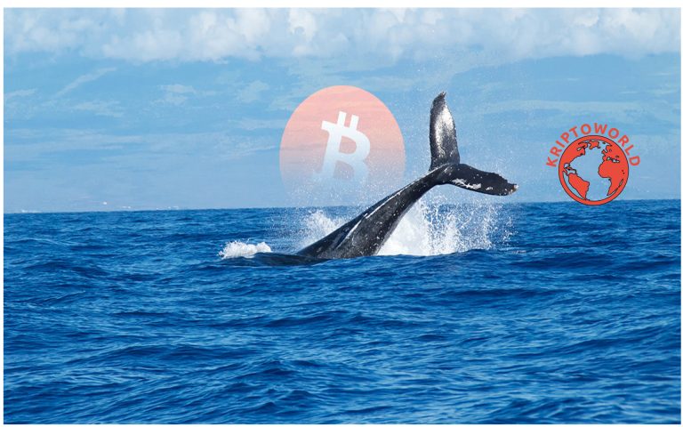 A bálnák alapján júliusra ötszámjegyű lehet a bitcoin értéke