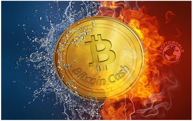 Esett a bálnák száma, miután 39%-ot emelkedett a bitcoin cash értéke