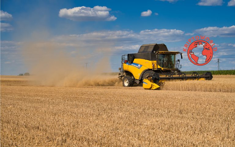 Mi az a hozamvadászat?