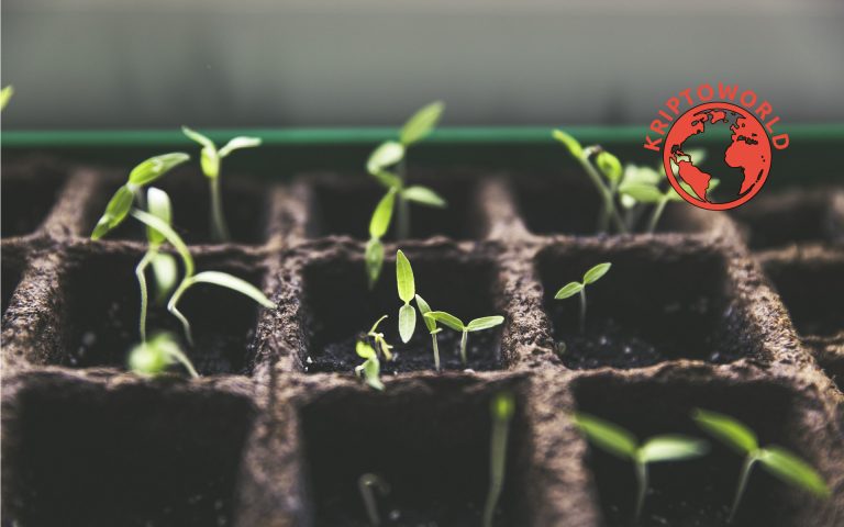 Új Ethereum-alapú kamatfarm indult, a Binance és több vezető kockázati tőke is beállt mögé