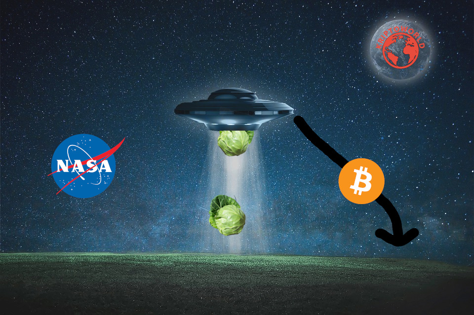 UFO bitcoin földönkívüli káposzta káposztakereskedelem