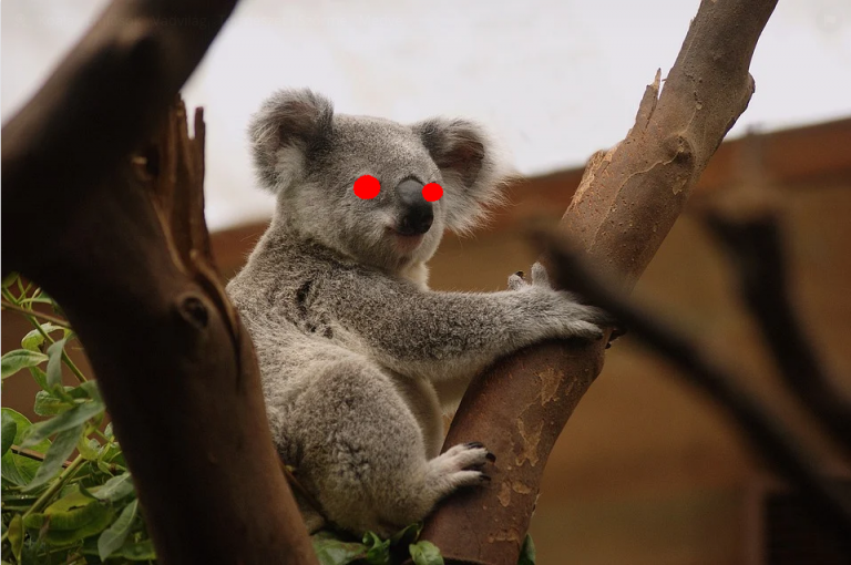 Ausztrál adóhivatal: nincs bújócskázás, pontosan tudjuk, kik fektettek kriptovalutákba