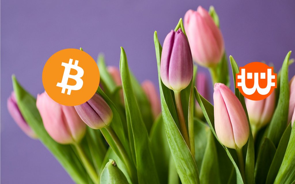 Még mindig a tulipánbuborékhoz hasonlítod a Bitcoint? Rossz úton jársz Még mindig a tulipánbuborékhoz hasonlítod a Bitcoint? Rossz úton jársz