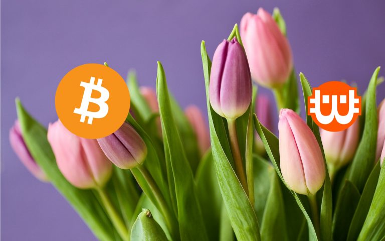 Még mindig a tulipánbuborékhoz hasonlítod a Bitcoint? Rossz úton jársz