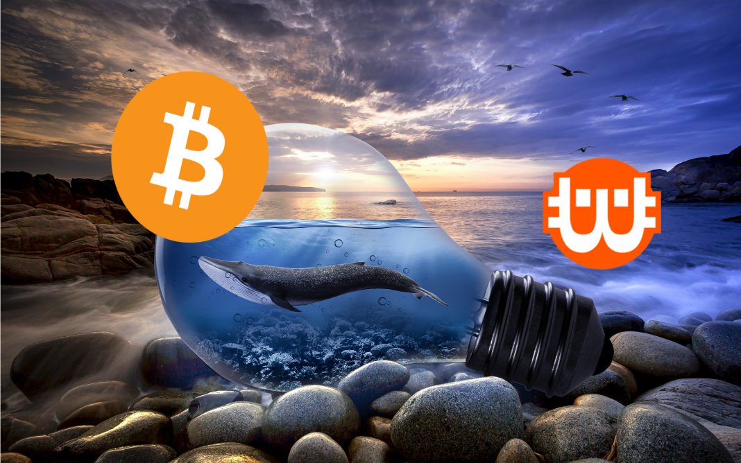 bitcoinbálna egy logőval, a tengerparton