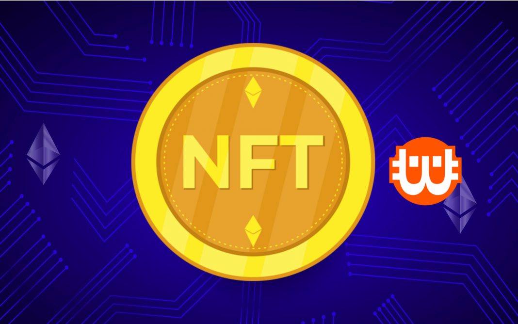 NFt, NFT-szelfik