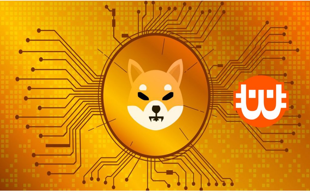 50%-ot nőtt a SHIBA INU a kriptopiac szárnyalása közepette 50%-ot nőtt a SHIBA INU a kriptopiac szárnyalása közepette