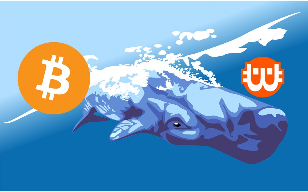 Csökken a Binance bálna arány mutatója – mit jelent ez?