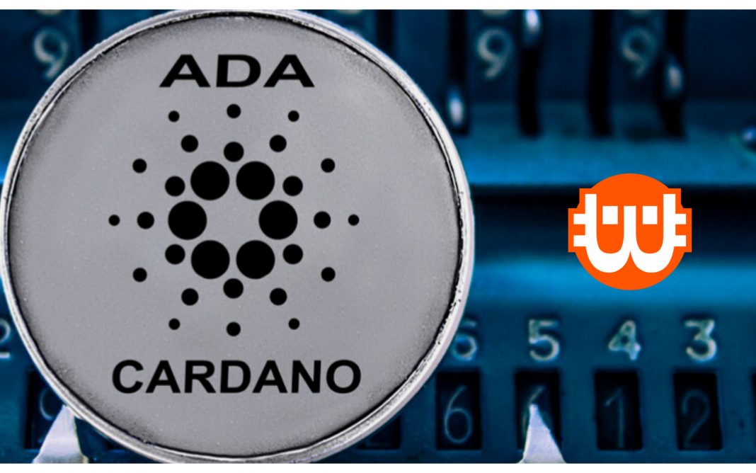 cardano érme