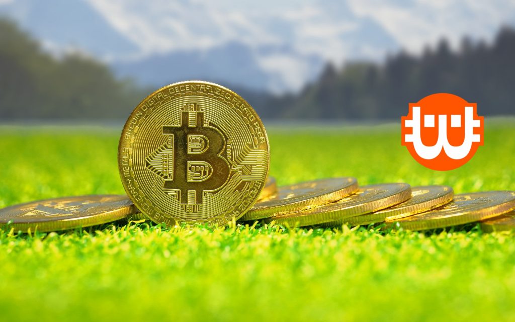 Újabb adag bitcoint vásárolna a Terra