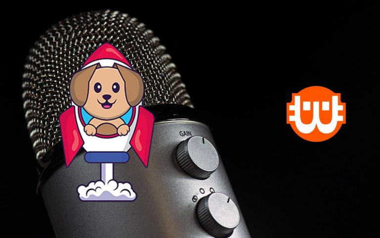 Gyermekrajzokból NFT – interjú a Baby Vizsla Inu üzleti vezetőjével