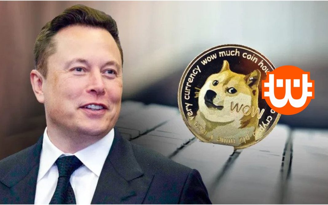 dogecoin és Elon Musk