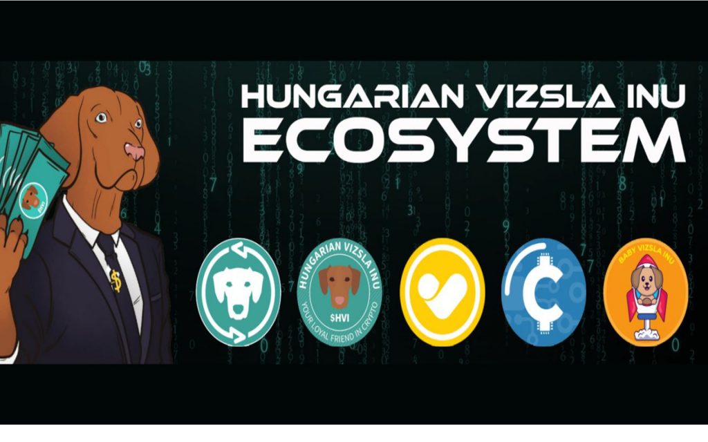 Hamarosan indul a VizslaSwap – az első magyar decentralizált tőzsde