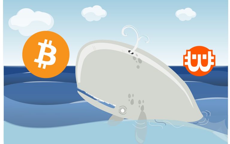 A Bitcoin bálnák egy nap alatt 2,8 milliárd dollár értékű BTC-t zsákmányoltak be