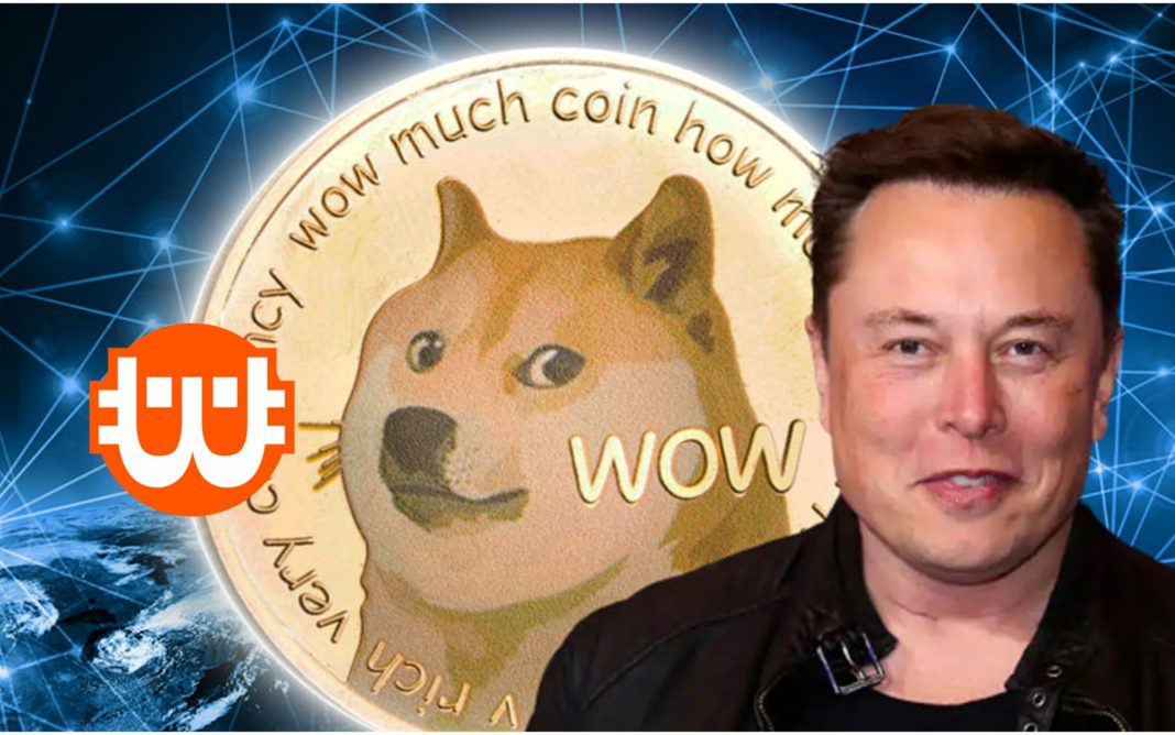 elon musk éa a dogecoin