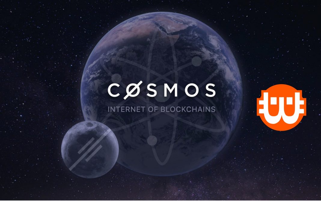 cosmos