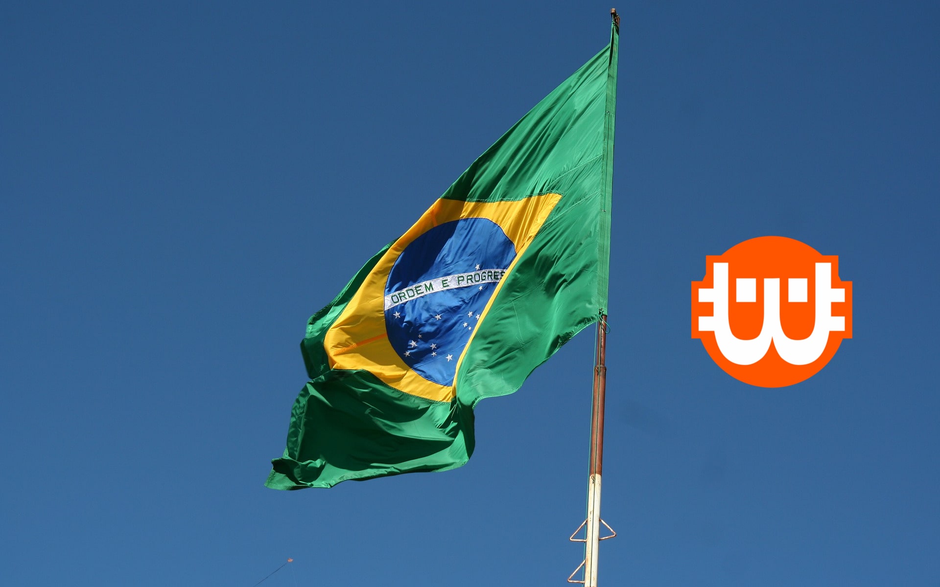 Brazíliában már a teheneket is tokenizálják