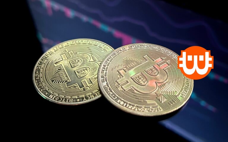 Bizonytalan időkben a bitcoin a legjobb választás