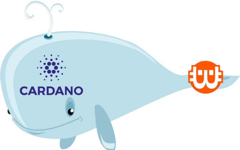 A Cardano bálnák már csak a coin készletének 8%-át kezelik