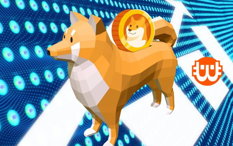 Robinhood tárca birtokolja a forgalomban lévő Dogecoin kínálatának 24%-át