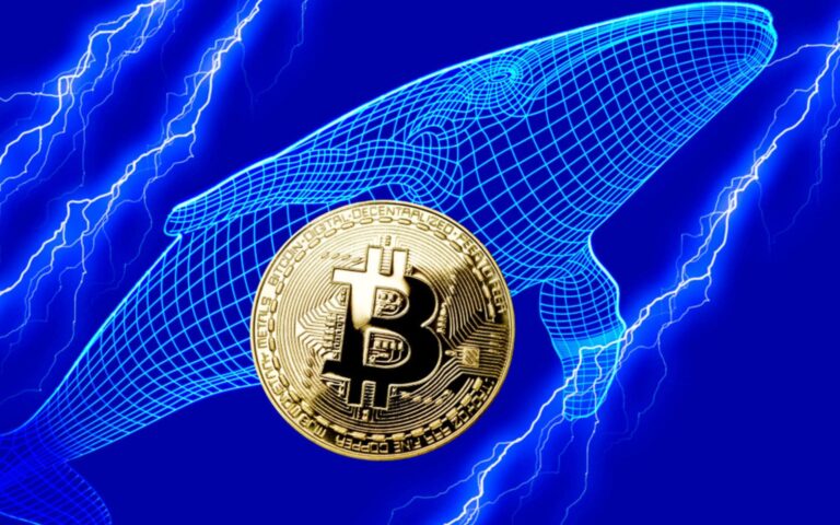 Egy Bitcoin bálna óriási mennyiségű BTC-n adott túl