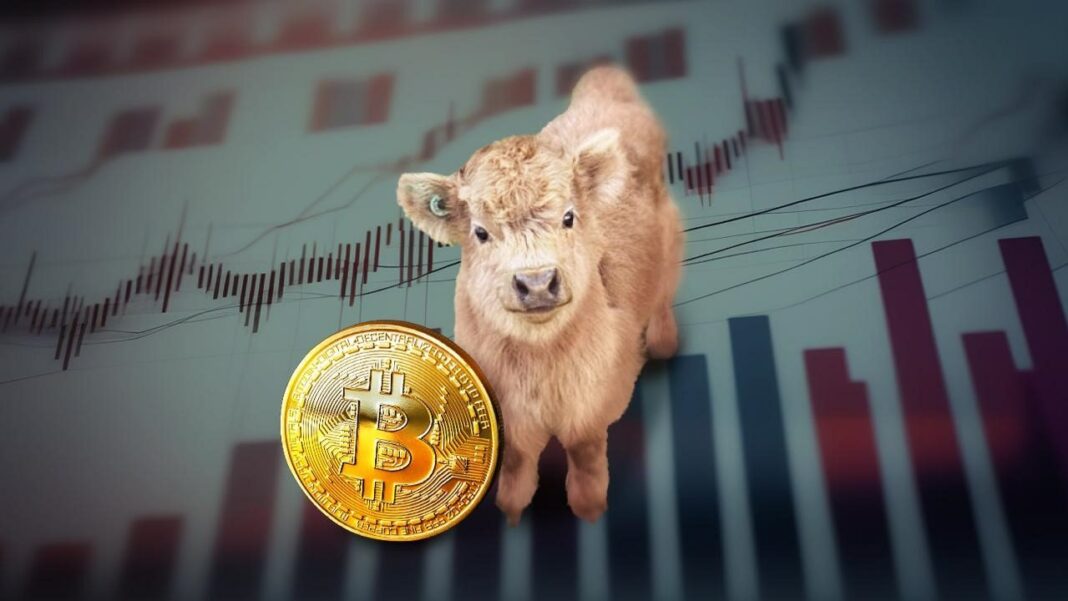 A top altcoinok, amelyek felülmúlhatják a Bitcoin-t