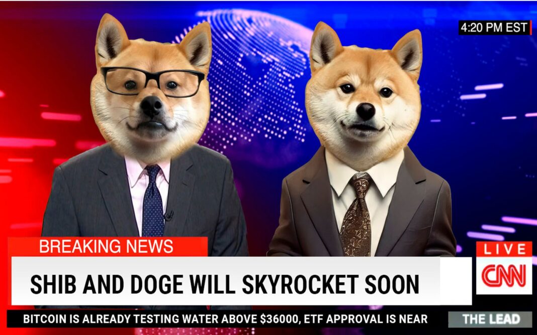 Shiba Inu