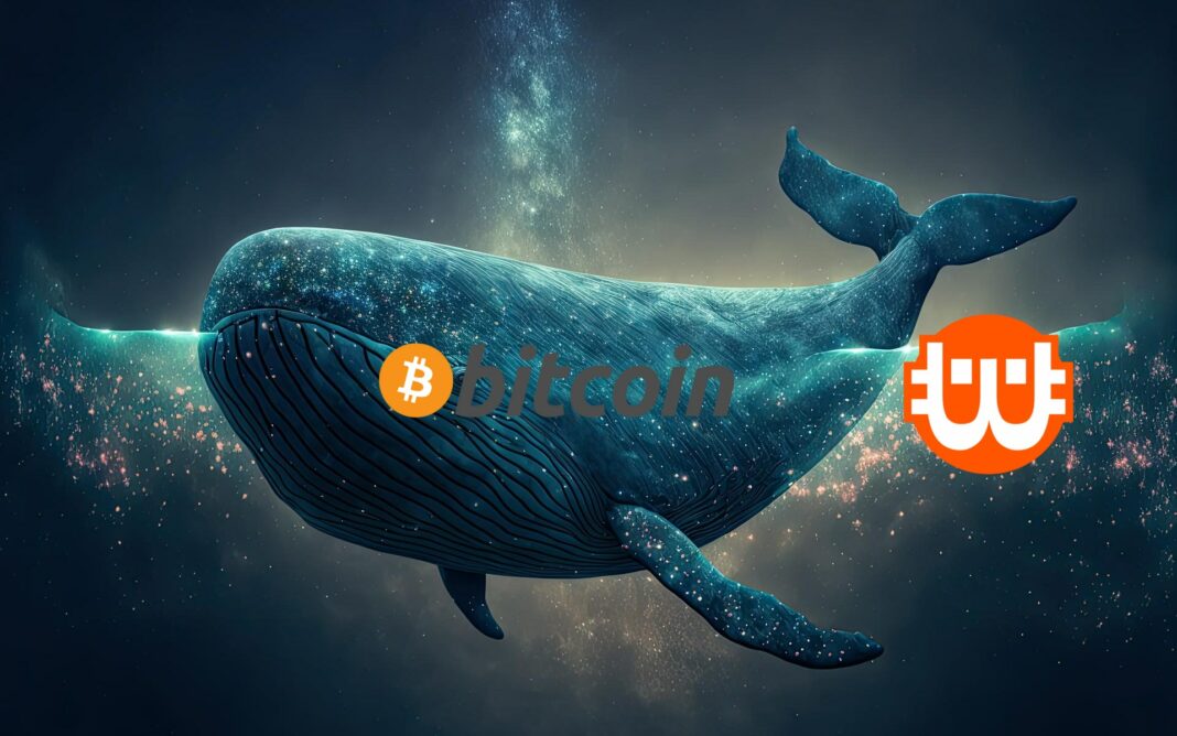 bitcoin bálna úszik a tengerben