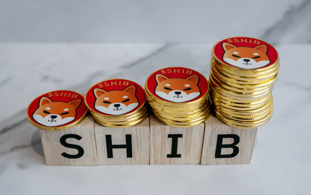 Shiba Inu