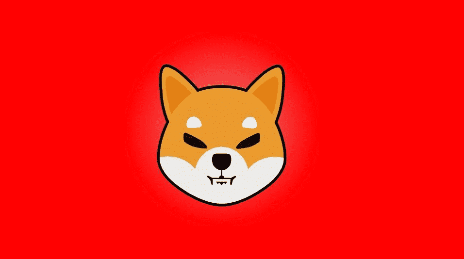 shiba inu