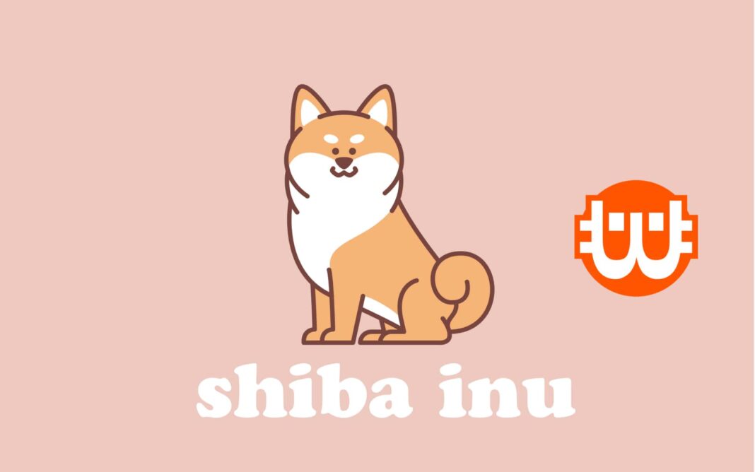 Shiba Inu