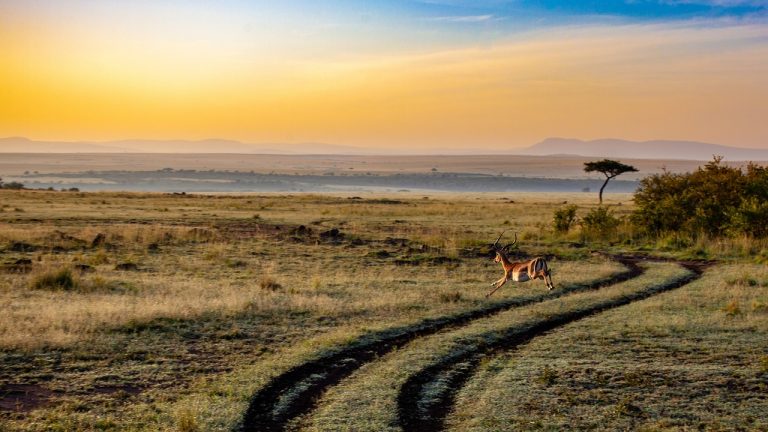 Afrikában indít stablecoin oktatókampányt a Nodo és a Tether