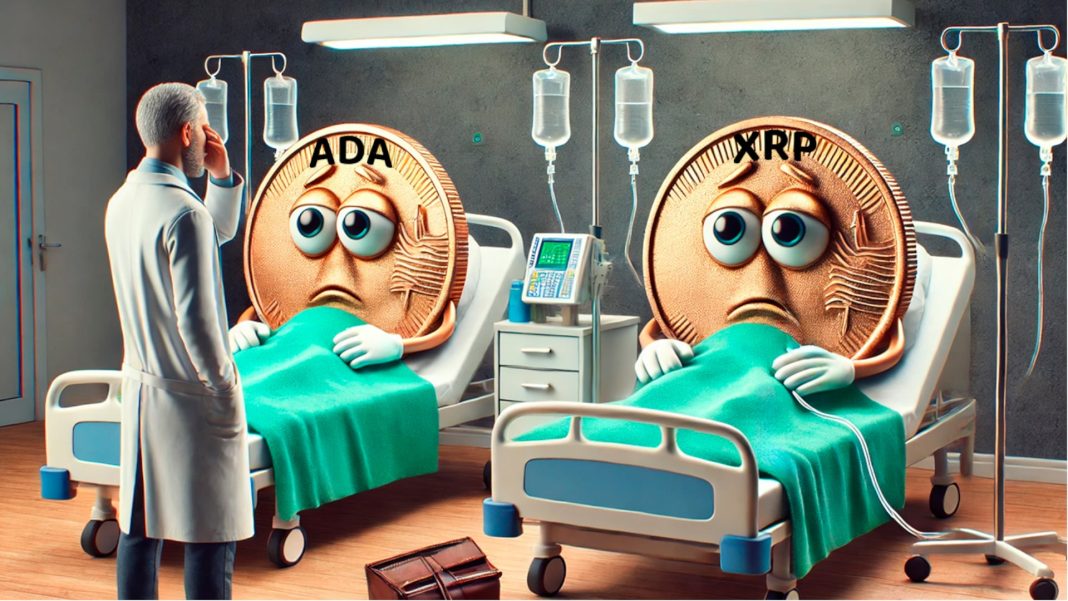 xrp