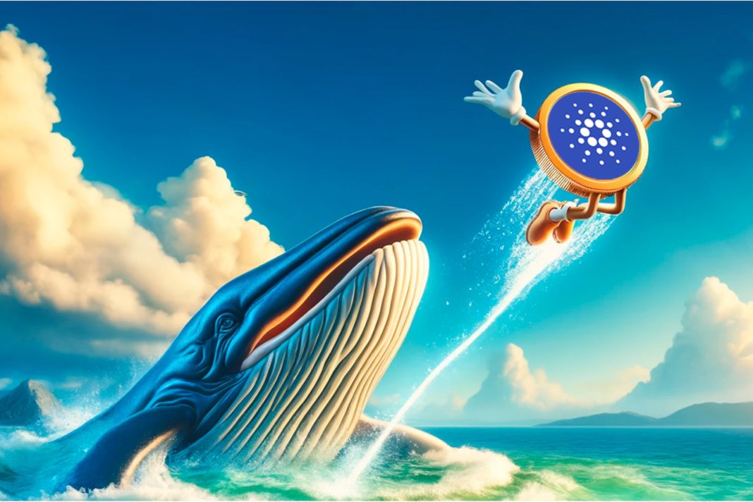 Kapkodnak a bálnák a Cardano után