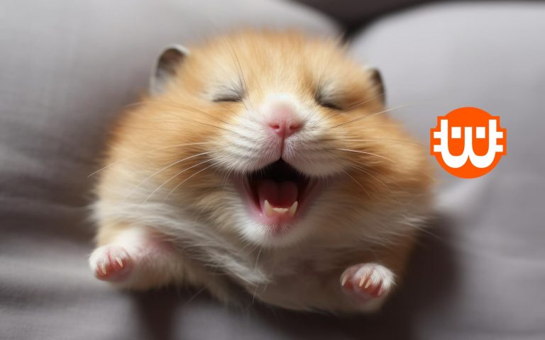 Csalónak titulálta egyes felhasználóit a Hamster Kombat, lezárult az „első évad”