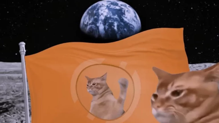 Beindul a Catslap pofonofon a 100.000 dolláros nyereményért