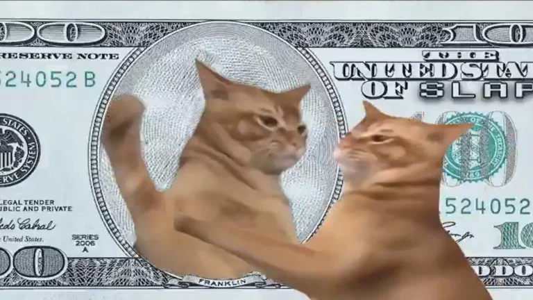 Ne csússz le a következő Popcat-ről! A Catslap megköszöni a pofonokat