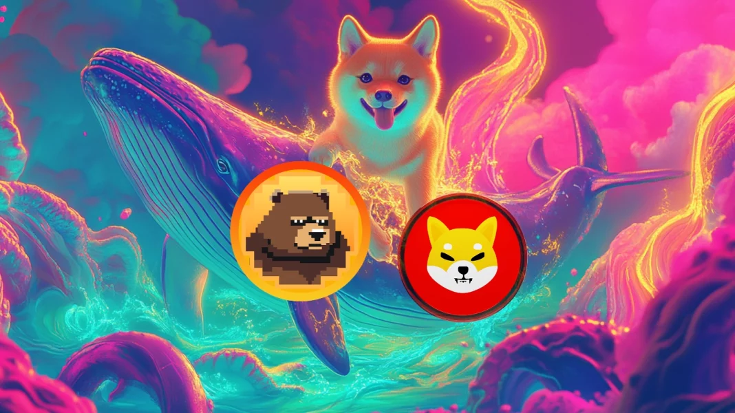 Bálnafigyelő: Hatalmas, 2025%-os beáramlás a Shiba Inu-ba (SHIB) – Mi jön ezután?