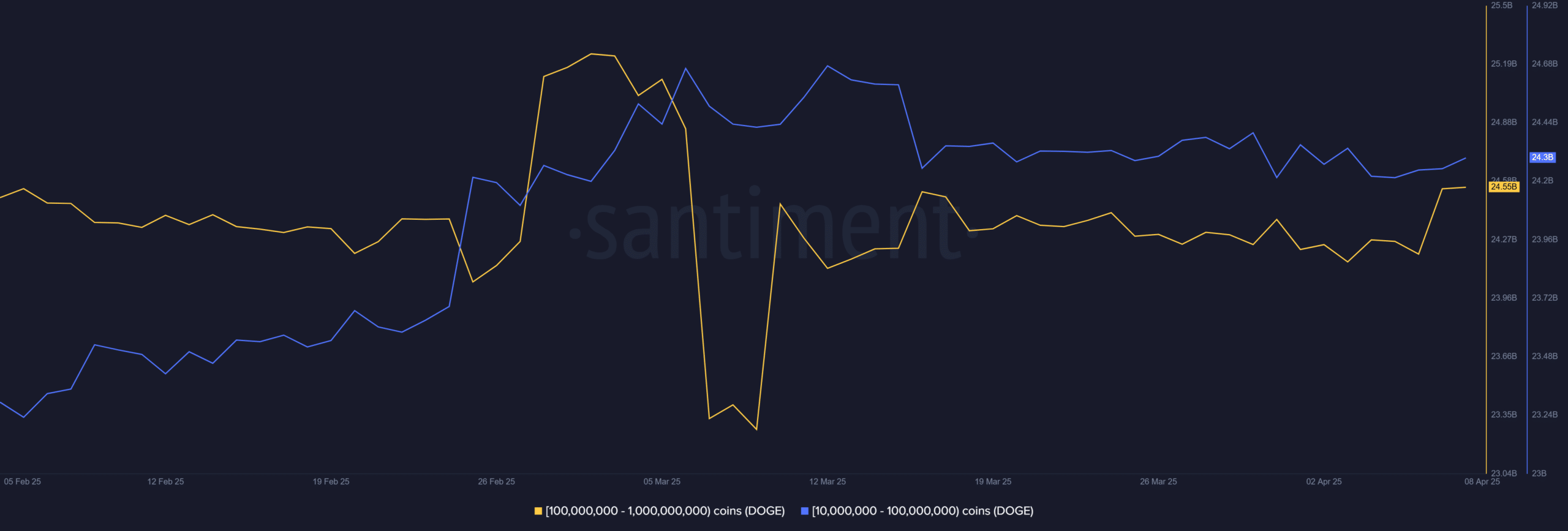 Dogecoin whales