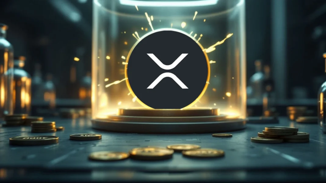 Az XRP sok kriptobefektető figyelmének középpontjában áll, különösen a 2024 végén mutatott erős teljesítménye után.