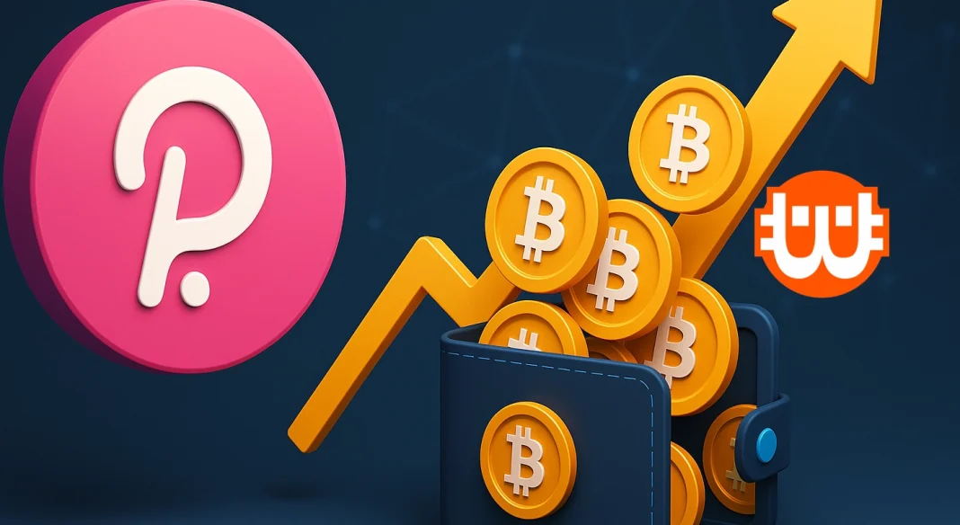 A Polkadot Bitcoint halmozna fel tartalékként